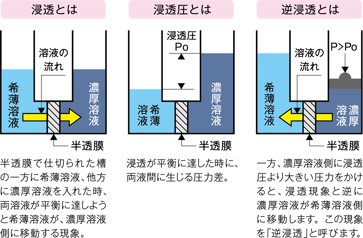 浸透とは:半透膜で仕切られた槽の一方に希薄溶液、他方に濃厚溶液を入れた時、両溶液が平衡に達しようと希薄溶液が、濃厚溶液側に移動する現象。浸透圧とは:浸透が平衡に達した時に、両液間に生じる圧力差。逆浸透とは:一方、濃厚溶液側に浸透圧より大きい圧力をかけると、浸透現象と逆に濃厚溶液が希薄溶液側に移動します。この現象を「逆浸透」と呼びます。